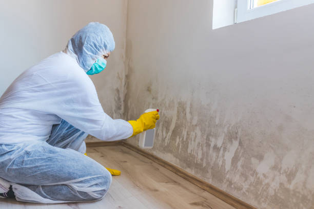 Crawl Space Mold Remediation treatment of floor joists in Lonaconing